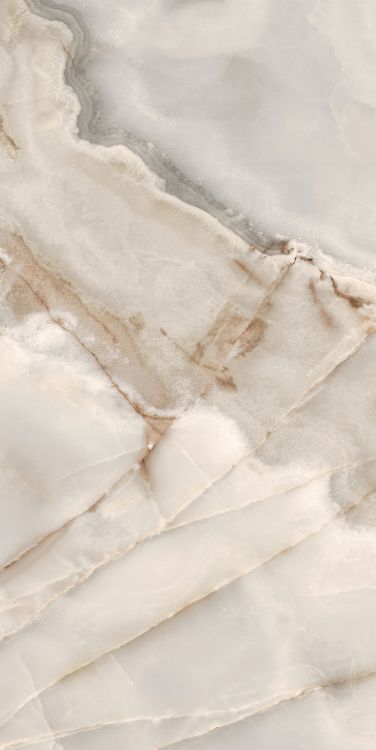 Reves Noisette Matte 24 x 48